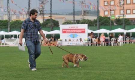 Irk standartları yarışmasında en yaşlı onur ödülü ve birincilik kangalın