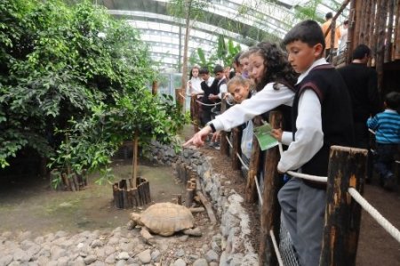 İzmir Doğal Yaşam Parkı'na Mekke’den ödül geldi