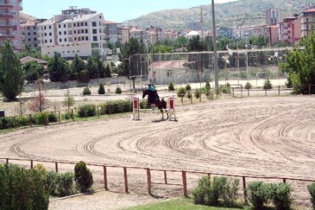 Jandarma eğitimli at ve köpeklerinin gösterisi nefesleri kesti