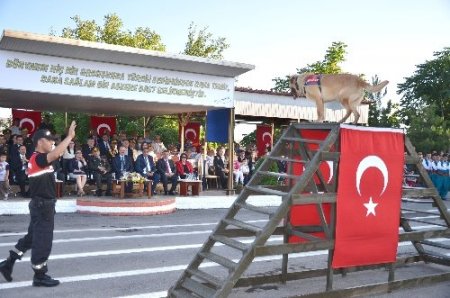 Jandarmanın töreninde mayın bulan köpekler ilgi gördü