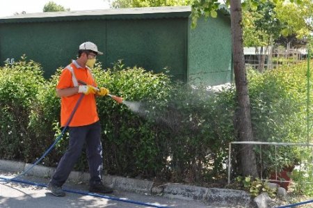 Karatay'da yeşil alanlar haşerelere karşı ilaçlandı