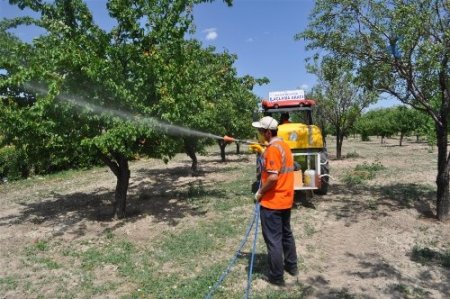 Karatay'da yeşil alanlar haşerelere karşı ilaçlandı