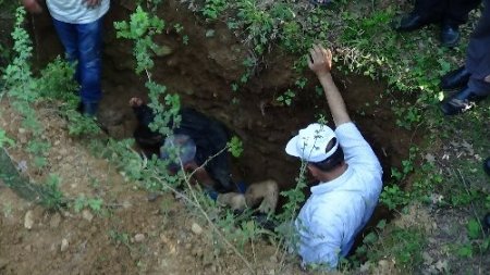 Kayıp kişinin cesedi ormanda çukurda bulundu