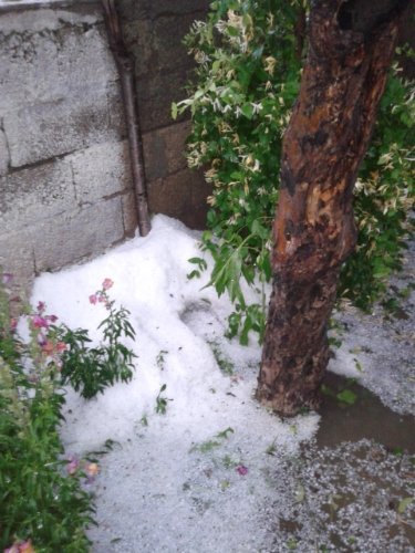 Kayseri’de dolu yağışı ekili arazilere zarar verdi