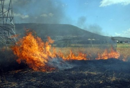 Kırıkkale'de buğday ve arpa tarlalarında yangın hasarı belirlendi