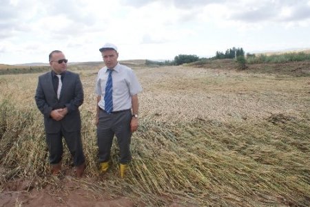 Kırıkkale’de dolu, ekili alanın yarısına zarar verdi