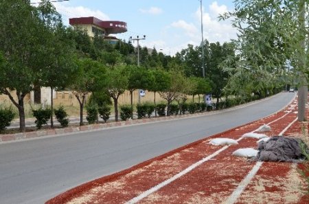 Kırıkkale'de yürüyüş yolu yenilendi