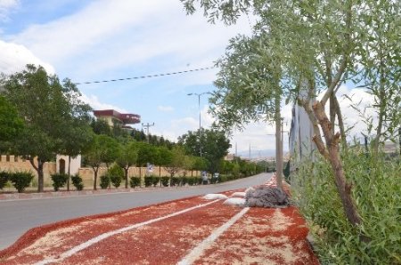 Kırıkkale'de yürüyüş yolu yenilendi