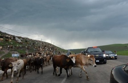 Köşk’ün objektifinden özel kareler