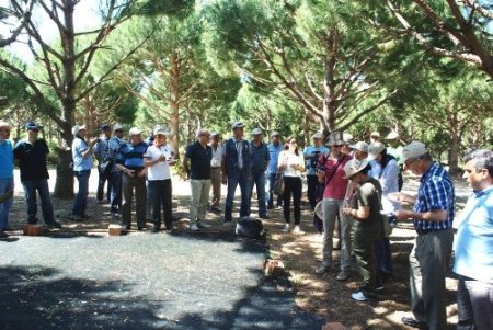 Kuzey Afrikalı ormancılar İzmir’de fıstık çamı üretimini öğrendi