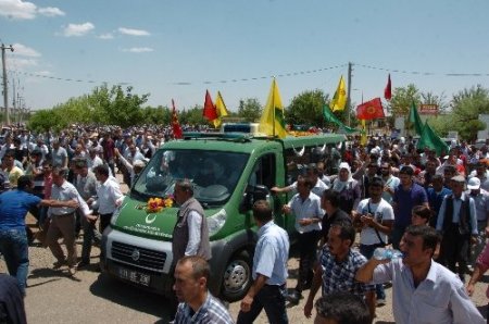 Lice'de karakol protestosunda ölen Yıldırım toprağa verildi