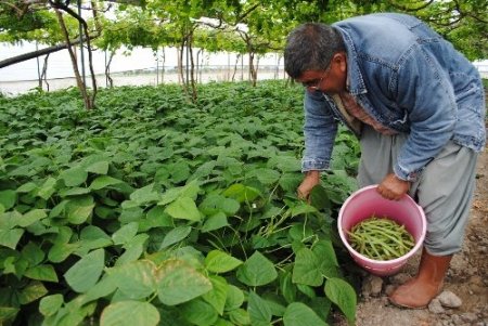 MZO, nitelikli tarım için danışman istihdamına başladı