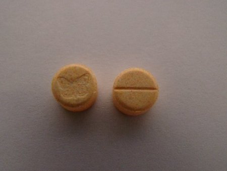 Narkotik köpeği Bonny, TIR’da 290 bin adet Ecstasy hap buldu