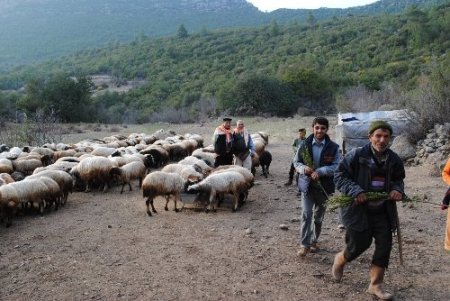 Orman yangınlarını çobanlar ihbar edecek