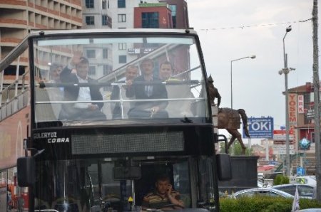 Osmangazi, Şahinbey Belediye Başkanı Tahmazoğlu'nu ağırladı