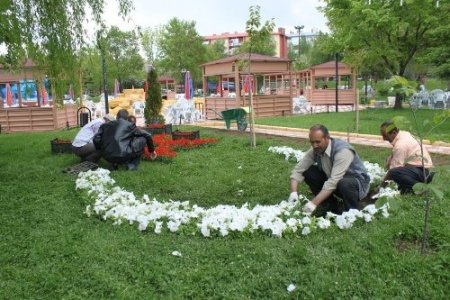 Palandöken, 60 bin çiçekle renklendi