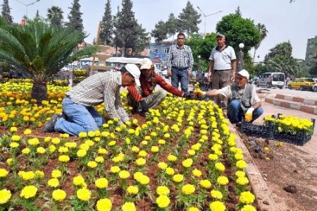 Reyhanlı'da hayat normale dönüyor