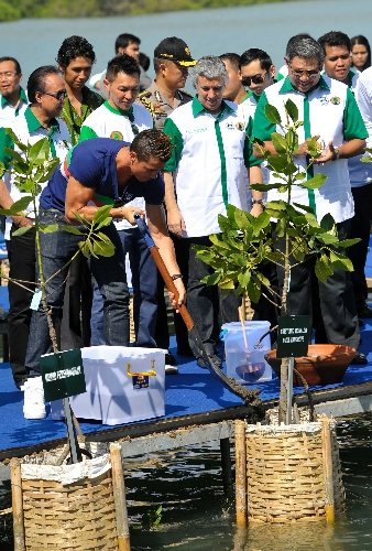 Ronaldo, Endonezya'da fidan dikti