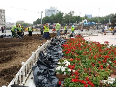 Taksim Meydanı çiçek açtı