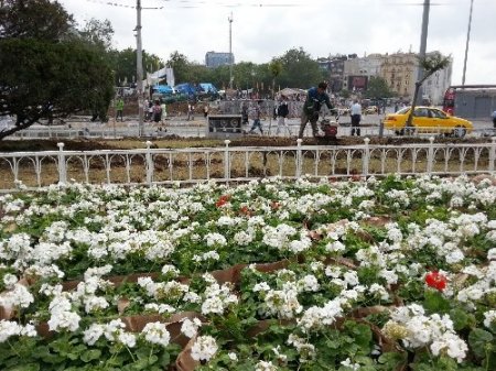 Taksim Meydanı çiçek açtı