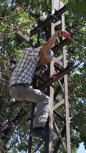 Tamir için çıktığı direkte elektrik çarpması sonucu hayatını kaybetti (Özel)