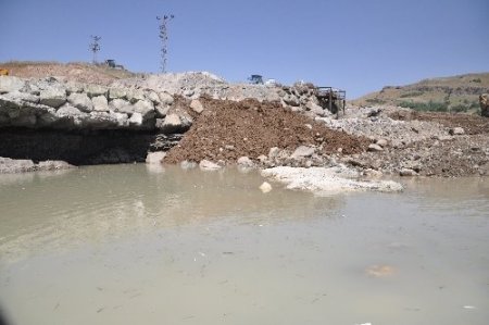 Tunceli'nde telef olan balıkların üzeri harfiyat ile kapatıldı