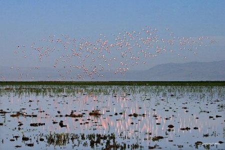 Uluslararası öneme sahip sulak alan sayısı 135’e yükseldi