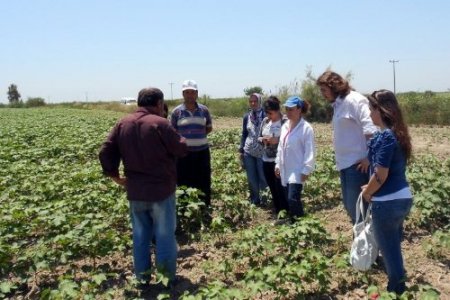 Üreticilere 'tarla okulu' eğitimi verildi