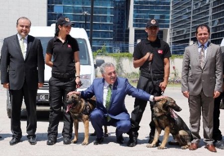 Uyuşturucu kaçakçılarının korkulu rüyası narkotik köpekler sertifikalarını aldı