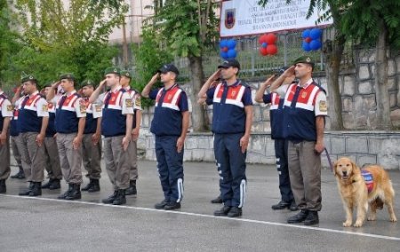 Vali Tuna: Jandarma artık üstün hizmet veren yapıya kavuştu