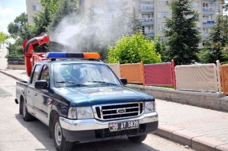 Yenimahalle Belediyesi’nde yaz hazırlıkları