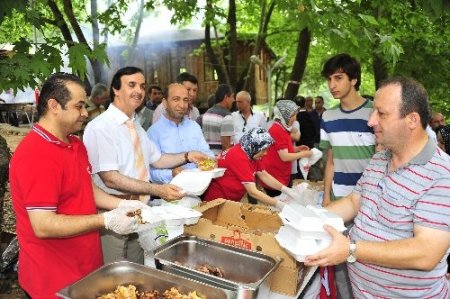 Yıldırım ailesi piknikte buluştu