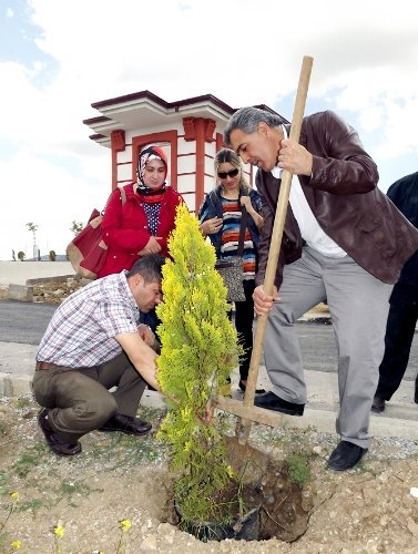 Yozgat Jeoloji Mühendisleri Odası bin adet fidan dikti