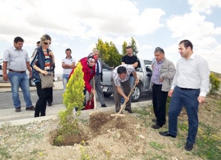 Yozgat Jeoloji Mühendisleri Odası bin adet fidan dikti